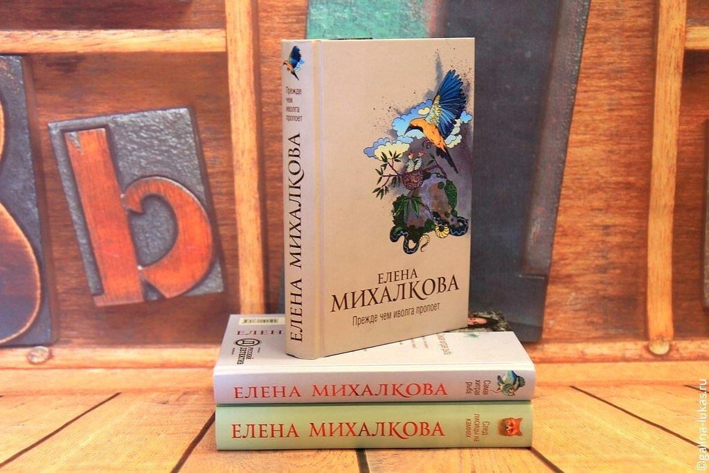 Читать елену михалкову все книги. Елена Михалкова иллюзия игры. Елена Михалкова прежде чем Иволга пропоет. Прежде чем Иволга пропоет Елена Михалкова книга. Елена Михалкова. «Прежде чем Иволга пропоет» Елена Калиниченко.